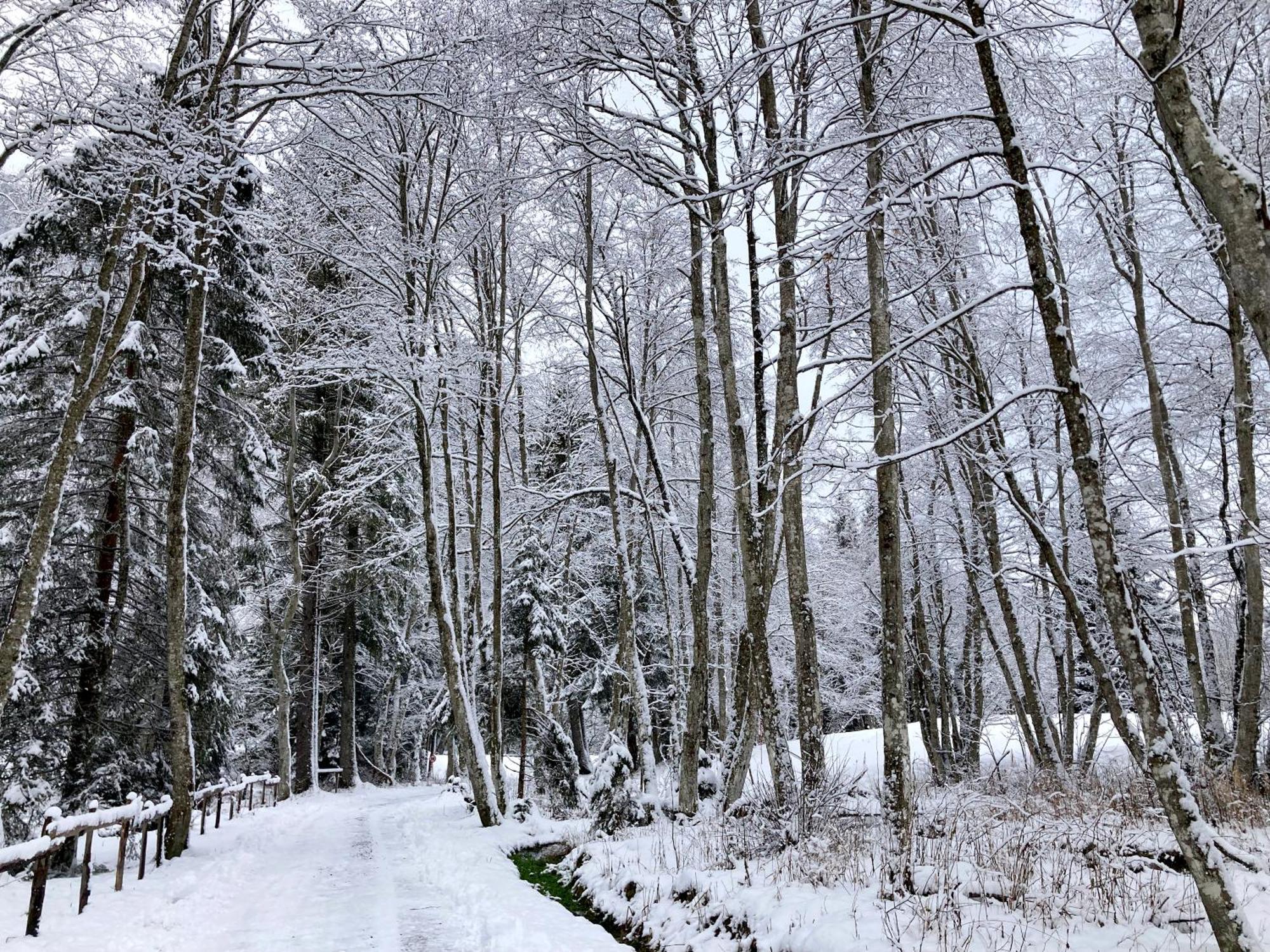 فندق La Ferme Du Praz لي كونتامين مونتجوا المظهر الخارجي الصورة
