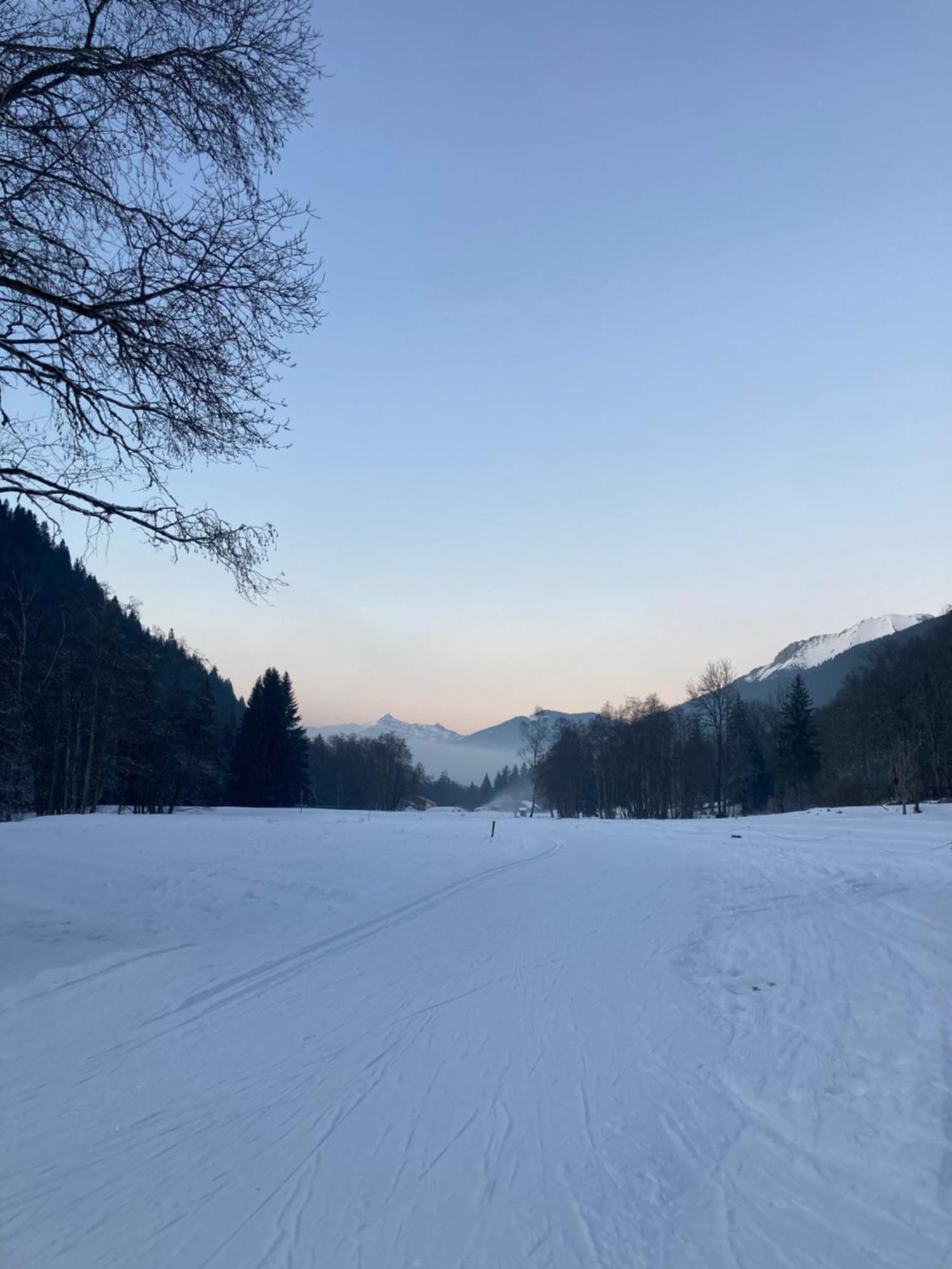 فندق La Ferme Du Praz لي كونتامين مونتجوا المظهر الخارجي الصورة